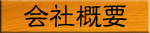 ЊTv